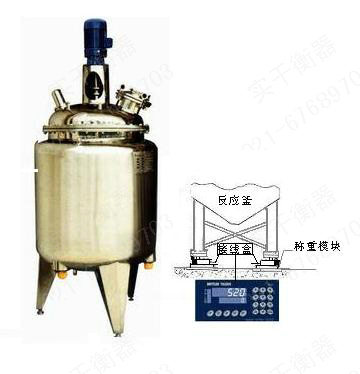 0.5吨反应釜模块